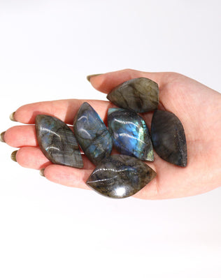 Madagascar Labradorite Leaf Stone (approx 15-20gms 45-55mm)